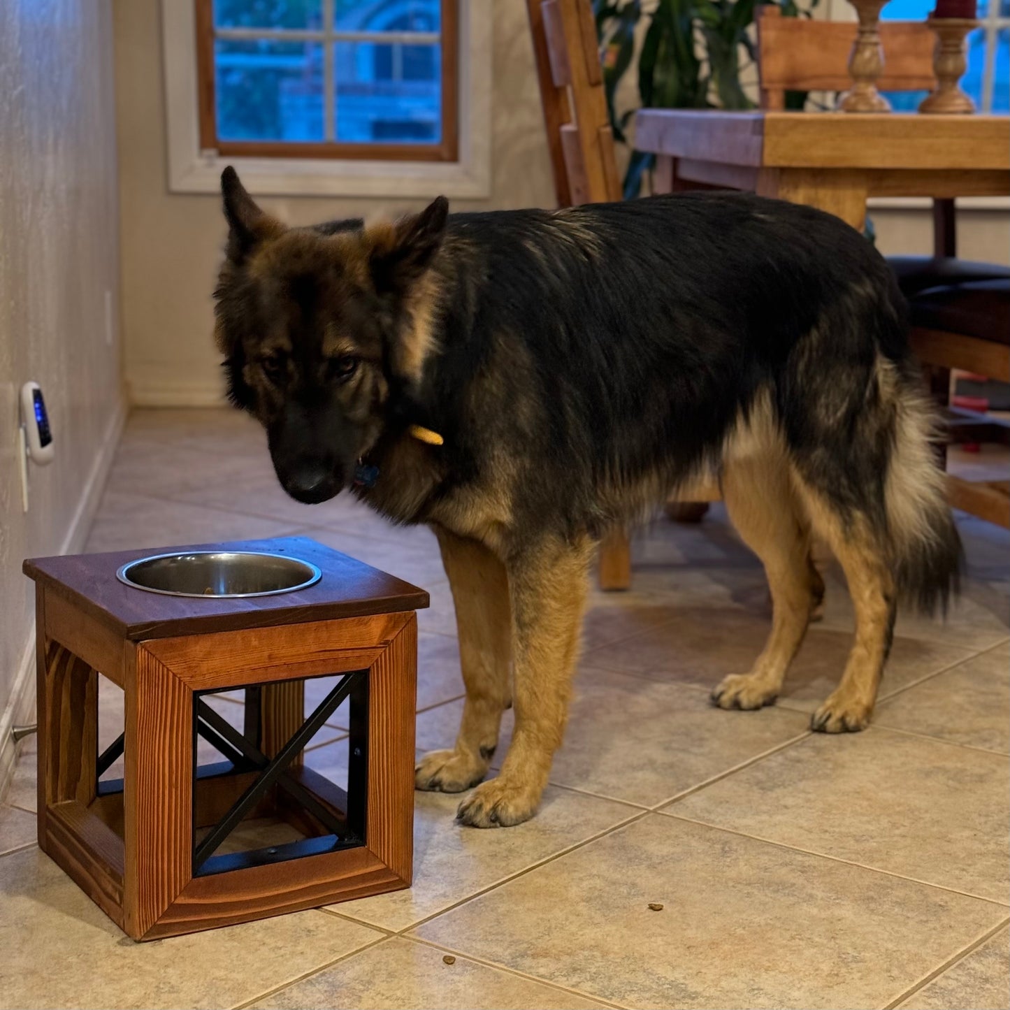 Raised Dog Bowl Stand