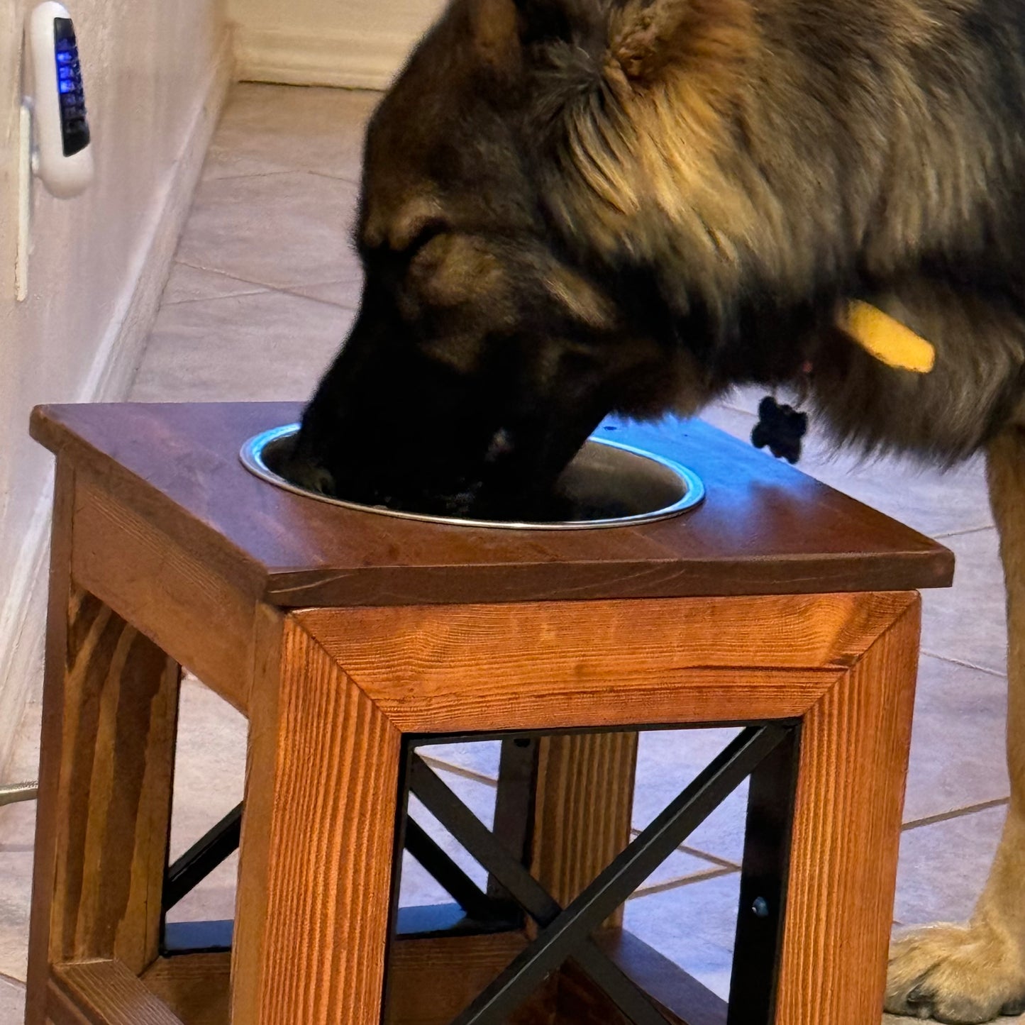 Raised Dog Bowl Stand