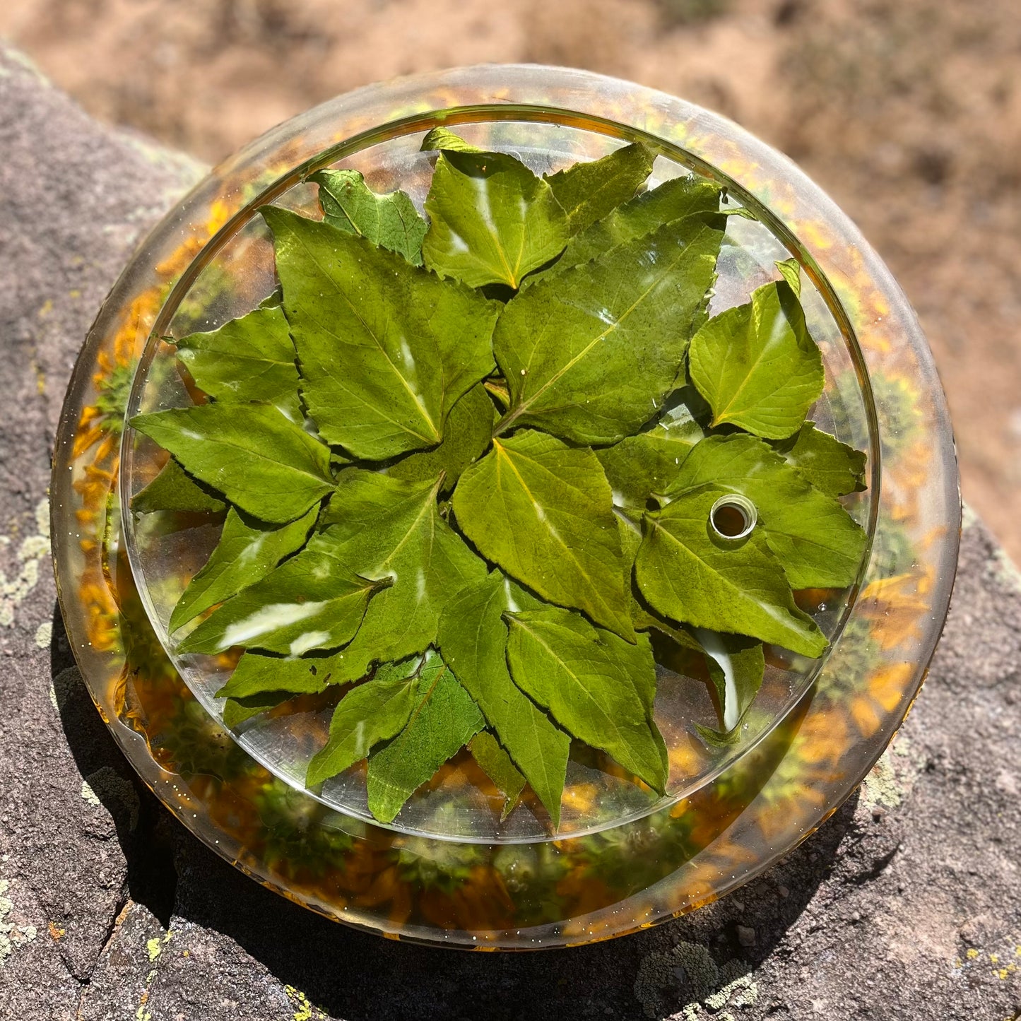 Lazy Susan - Charcuterie Turntable
