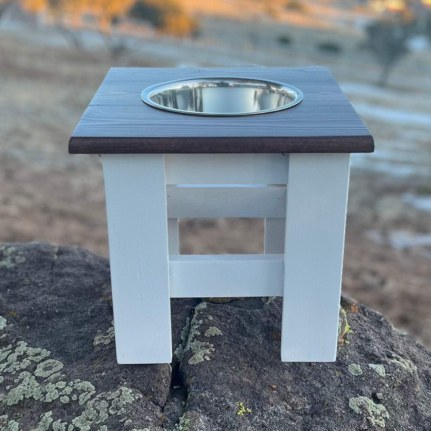 Raised Dog Bowl Stand