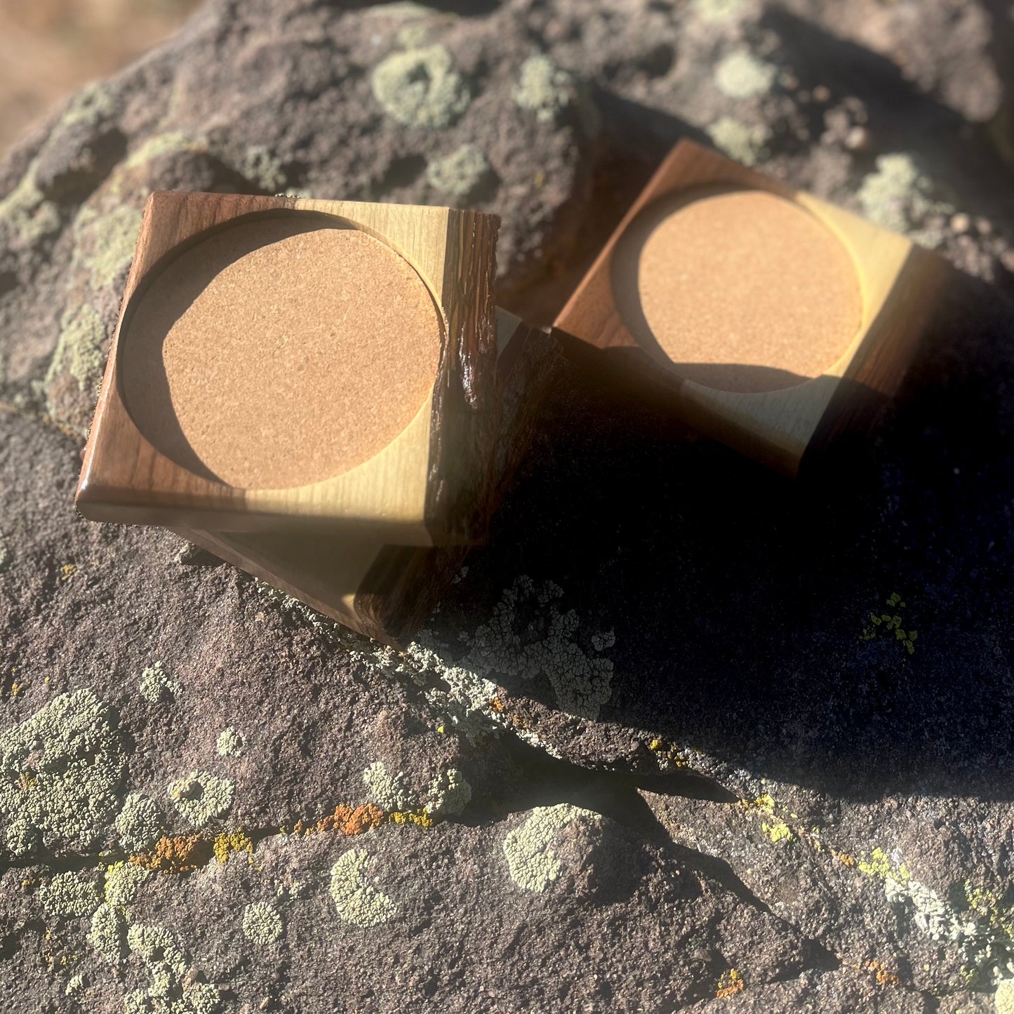Live Edge Coasters