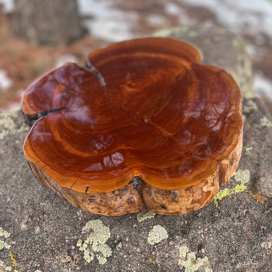 Live Edge Charcuterie Board
