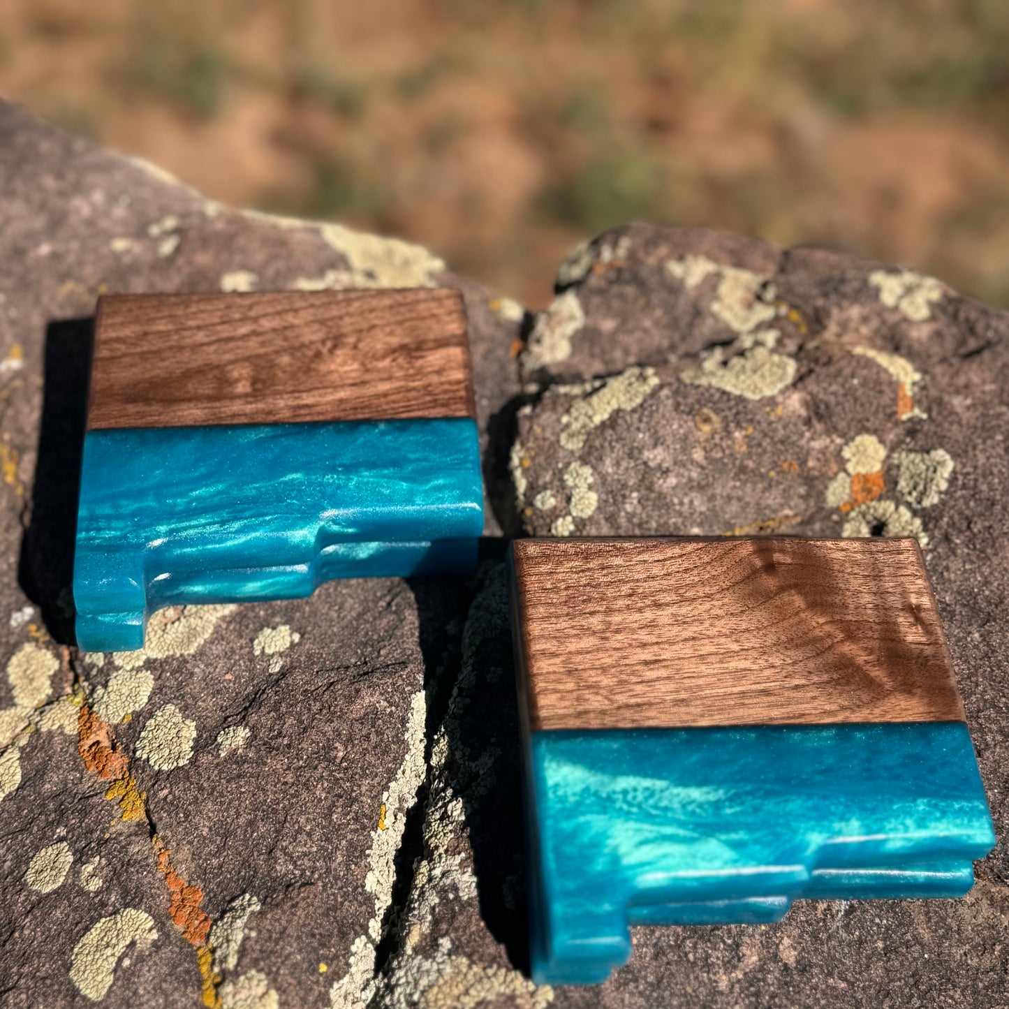 New Mexico Resin Coasters