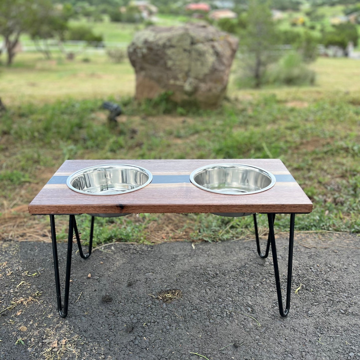 Raised Resin Dog Bowl Stands