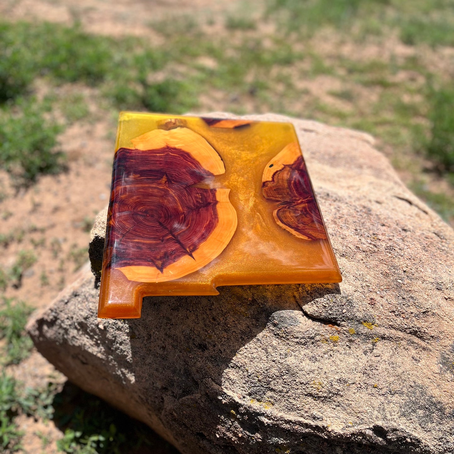 New Mexico Resin Charcuterie Board