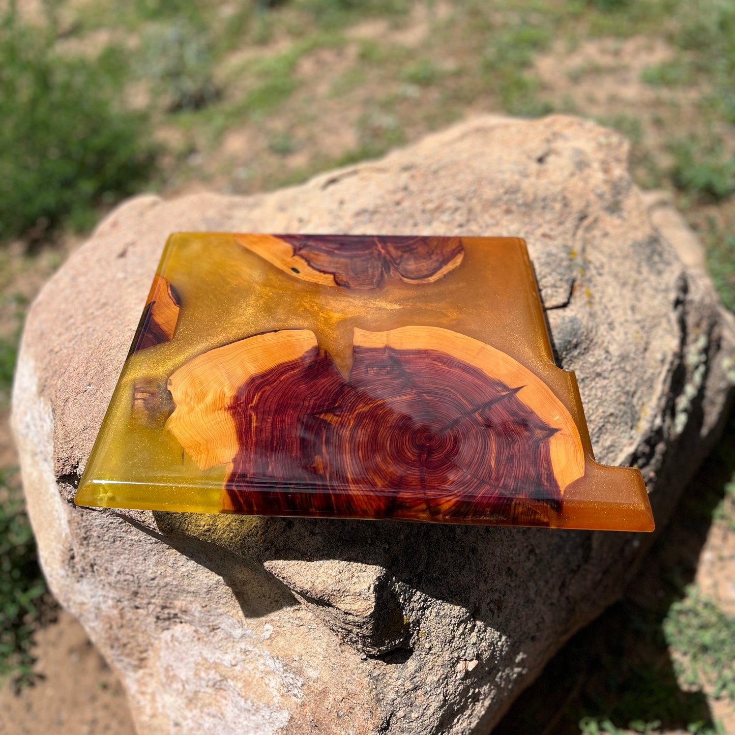 New Mexico Resin Charcuterie Board