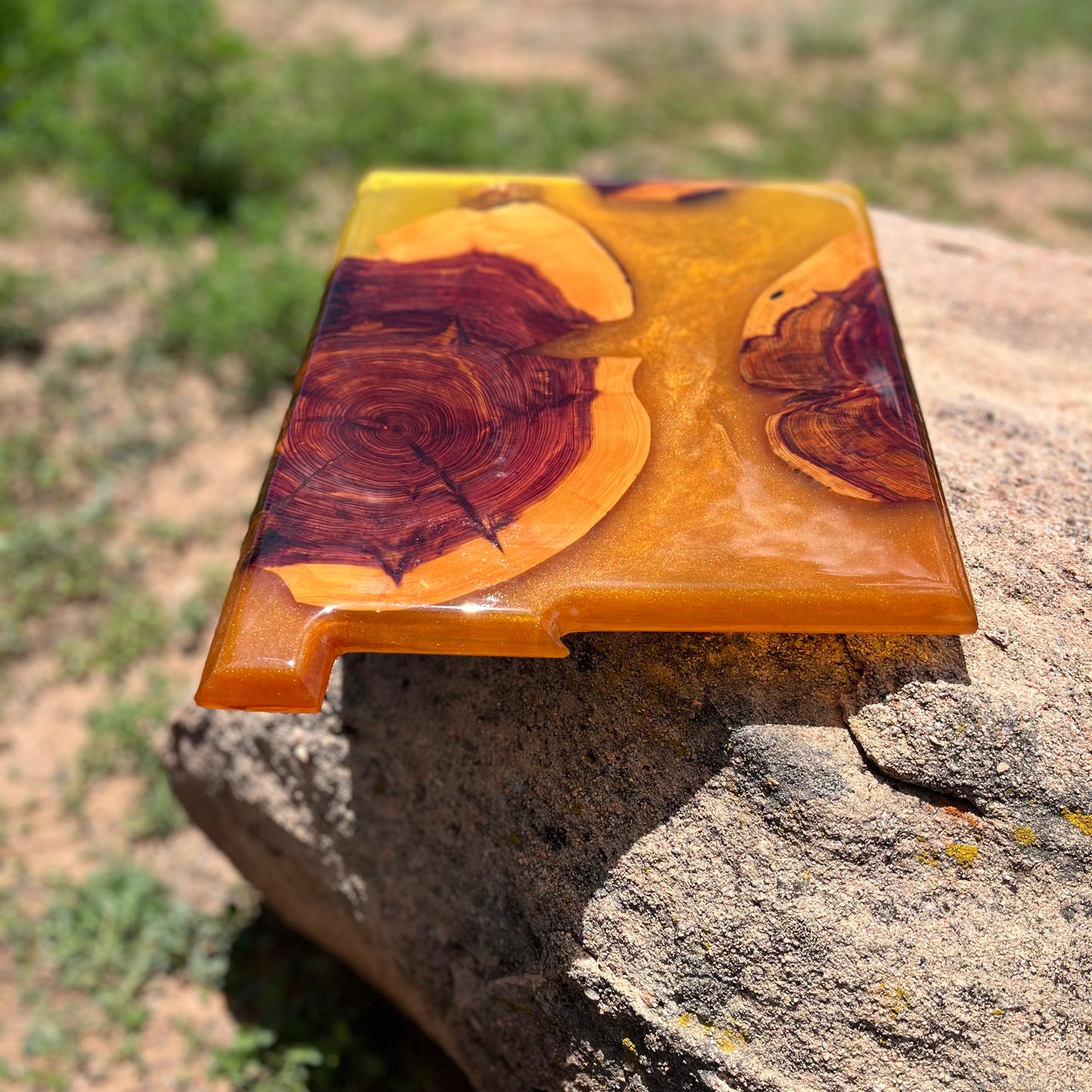New Mexico Resin Charcuterie Board