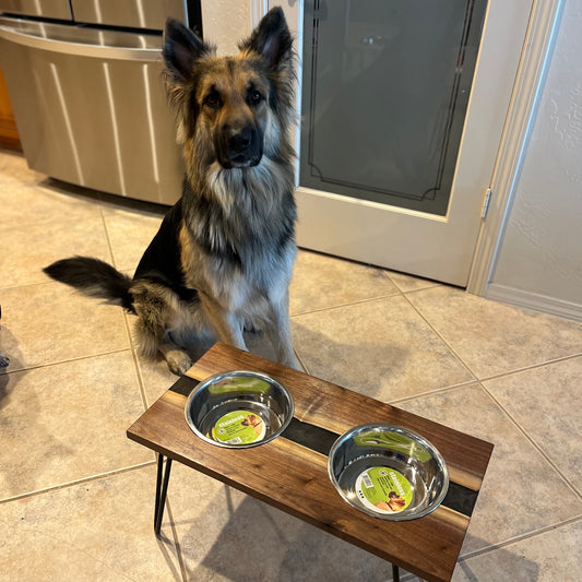 Raised Resin Dog Bowl Stands